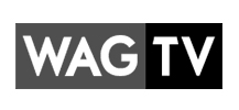 WAG TV India Film Services