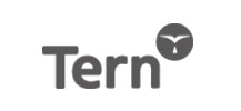 Tern India Film Services