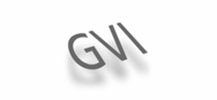 GVI India Film Services