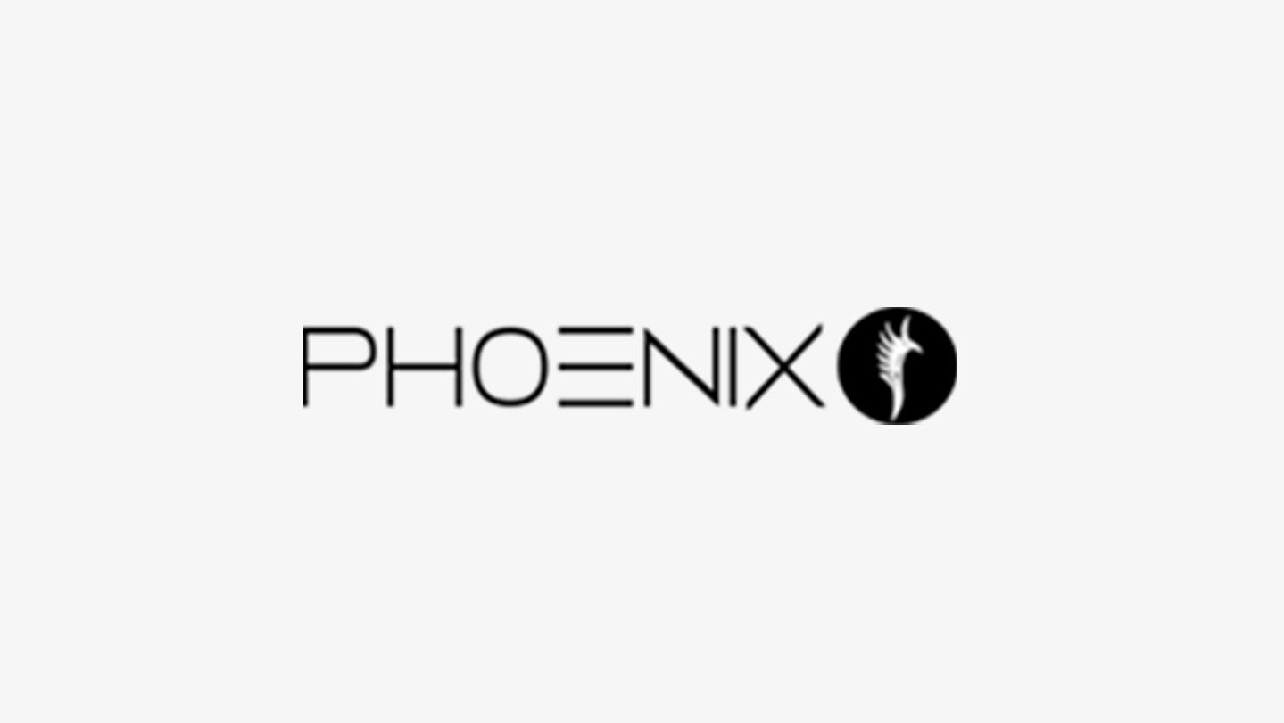 Phoenix India Film Services